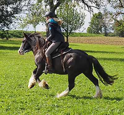 Reiterin im Galopp auf einer Wiese